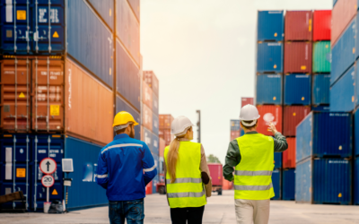 Supply Chain Compliance: come la ISO 30415 protegge il tuo posto nelle filiere industriali